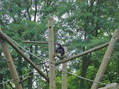 149 BIO PARC DE DOUE LA FONTAINE 5- 2016_000027